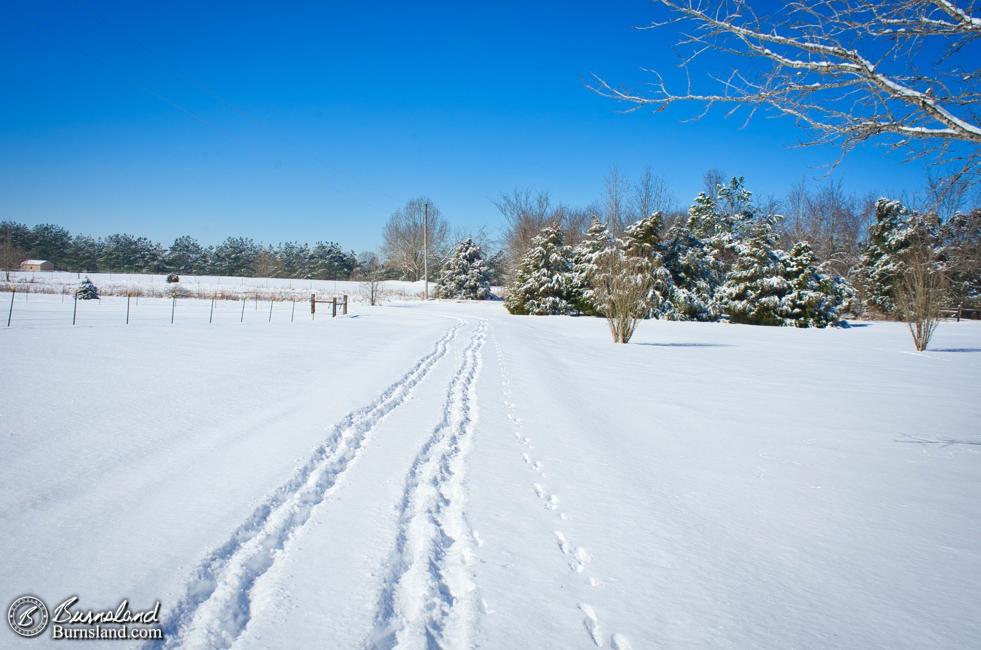 Another view down the driveway