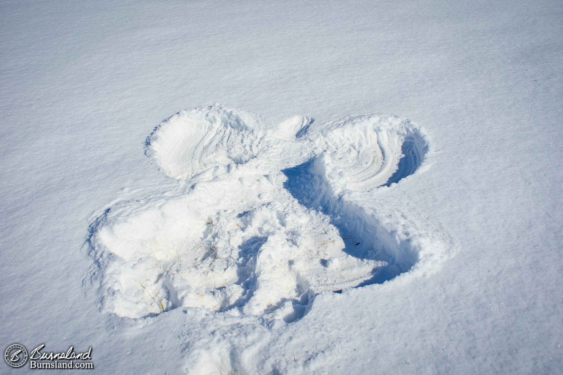 A perfect snow angel