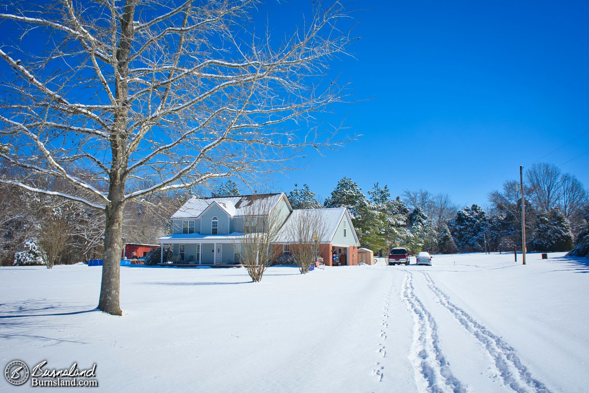 A view up the driveway