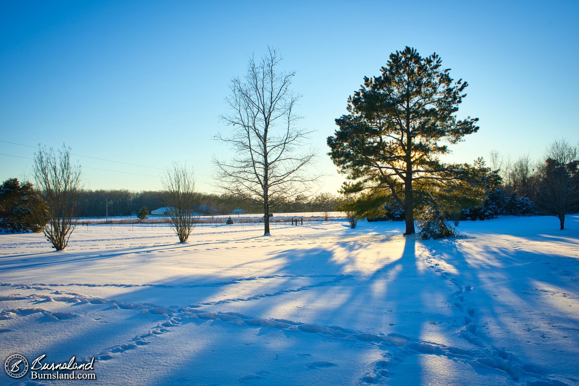 Sunset and snow