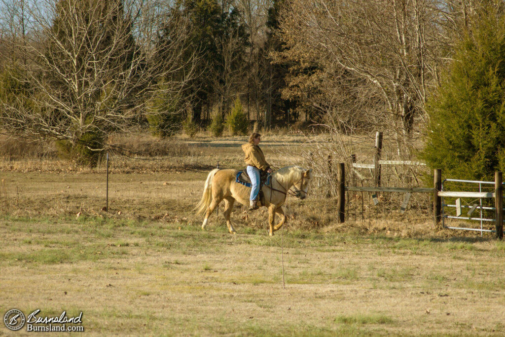 Horse Riding on New Year’s Day