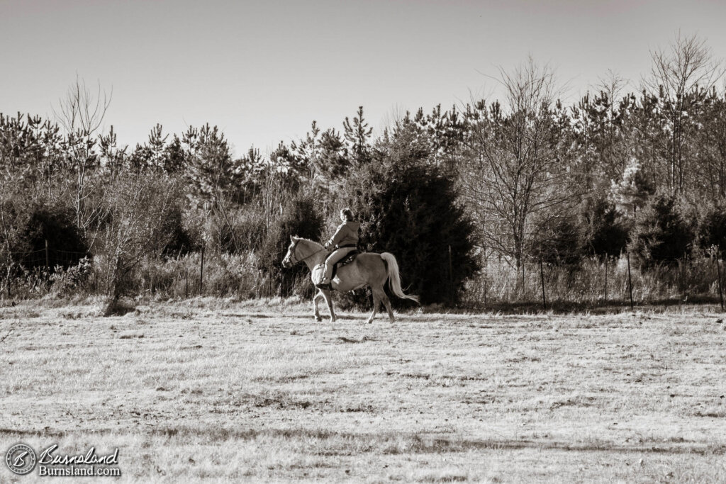 Horse Riding on New Year’s Day