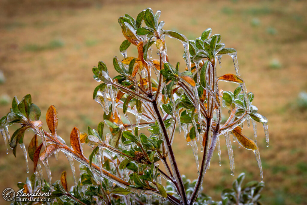 An Icy Weekend