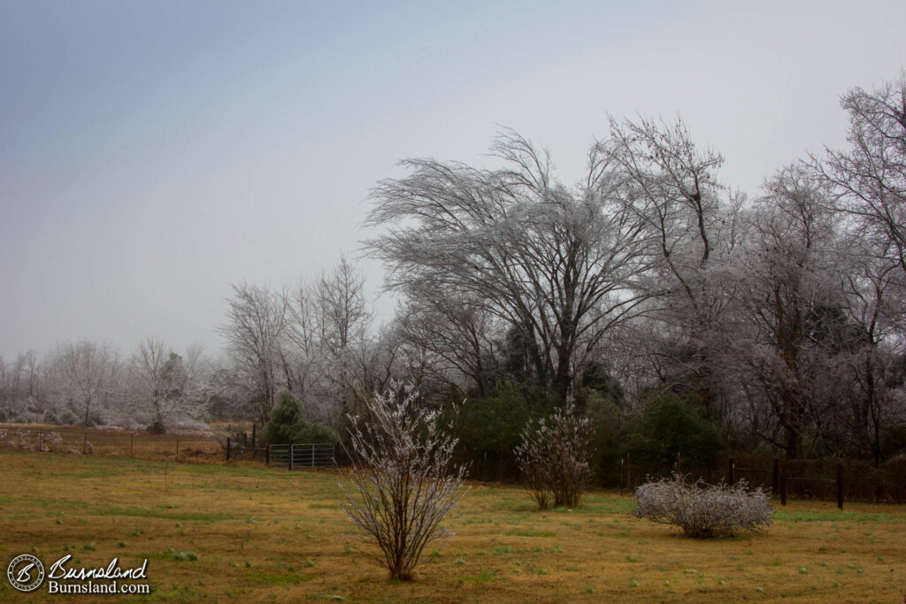 An Icy Weekend