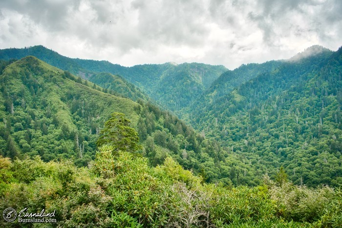 The view from Inspiration Point in the Great Smoky Mountains