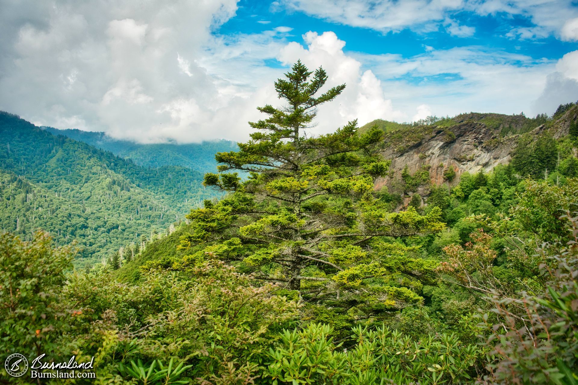 Blue sky at Inspiration Point in the Great Smoky Mountains