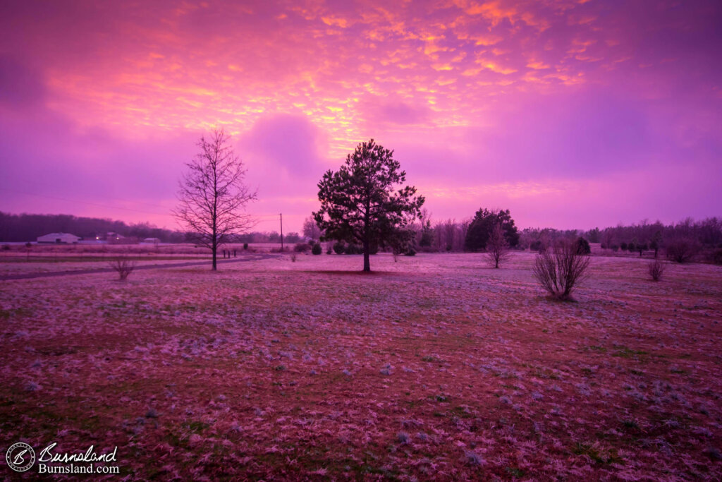 Interesting Sunset Color