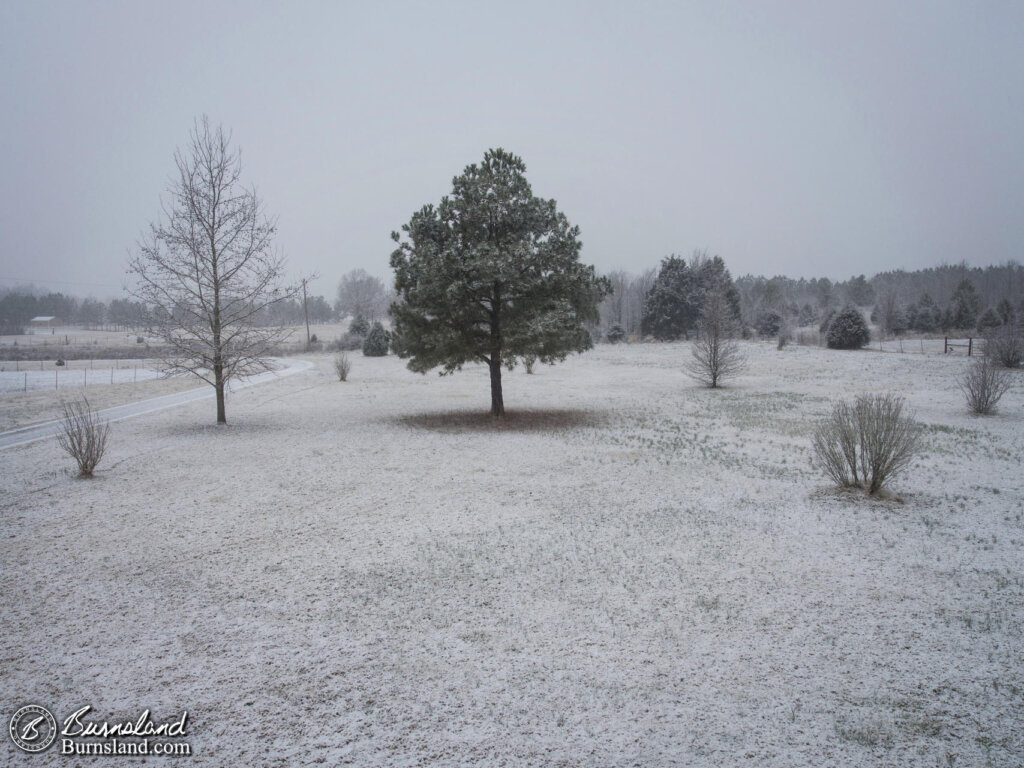 It Finally Snowed