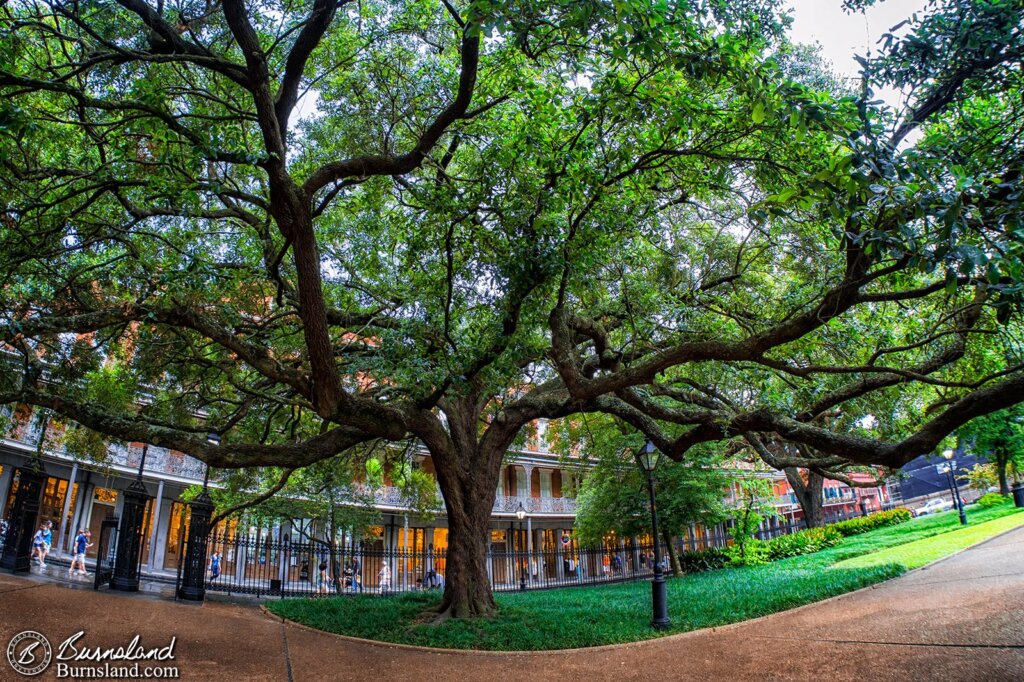 Jackson Square in the French Quarter of New Orleans