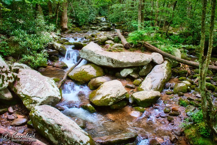 Flowing stream in Great Smoky Mountains National Park