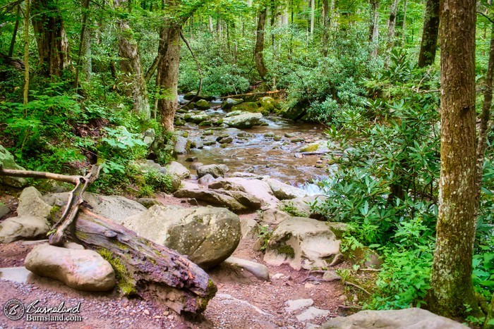 Flowing stream in Great Smoky Mountains National Park