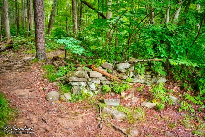 A stone fence at the Jim Bales homestead in Great Smoky Mountains National Park