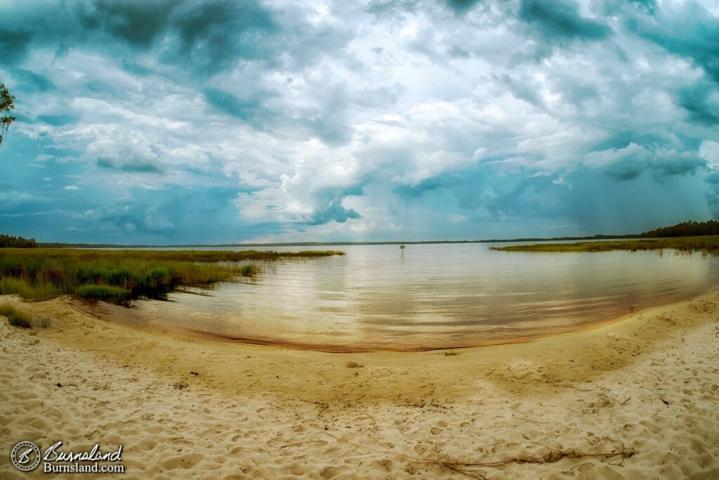 Lake Louisa State Park in Florida