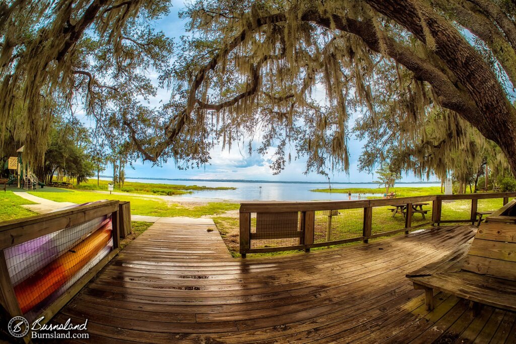 Lake Louisa State Park in Florida