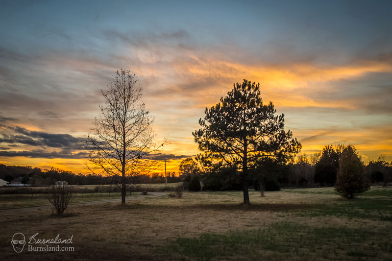 Late Afternoon in Late Fall