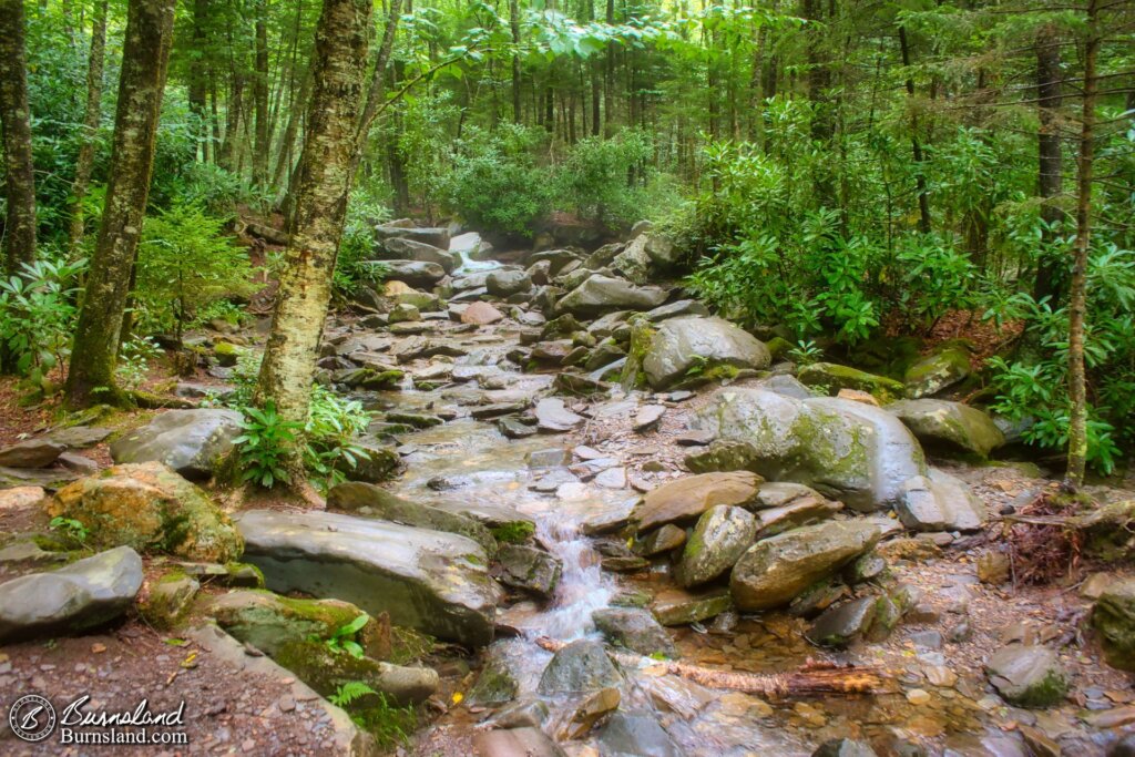 A stream runs through the Great Smoky Mountains