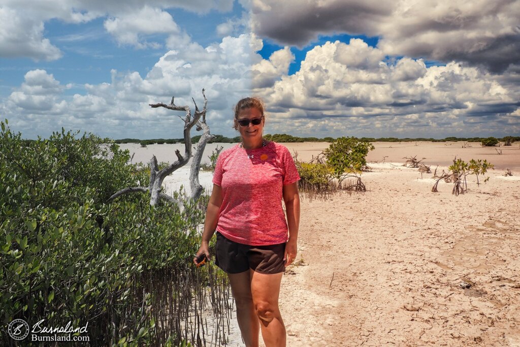 Laura in the Salt Flats-beforeafter