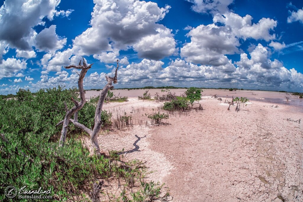 Salt Flats 2-1600