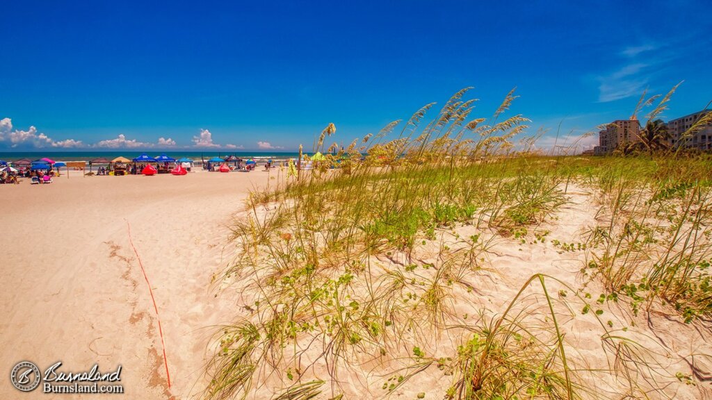 Sand dune at Cocoa Beach, Florida