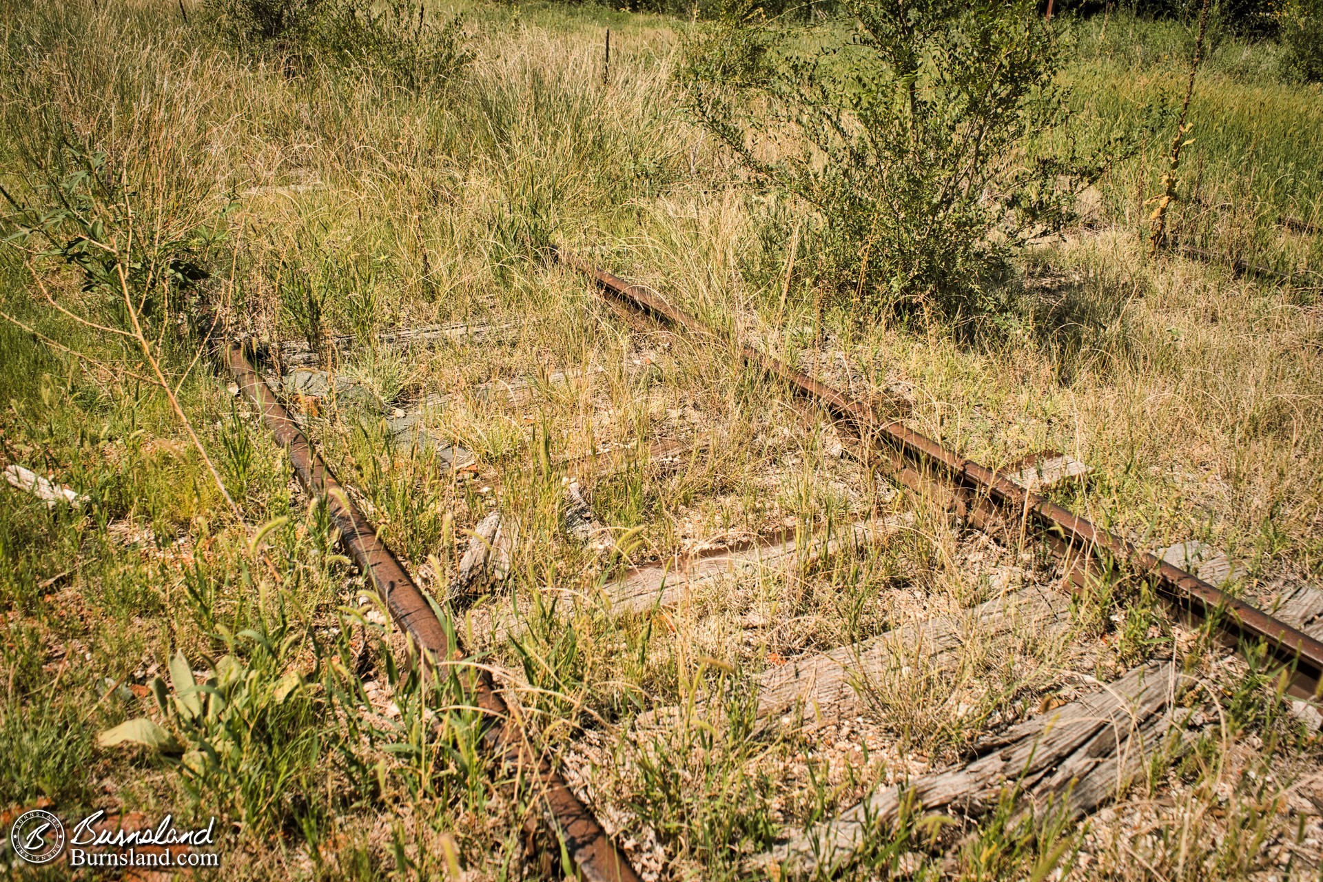 Unused railroad tracks