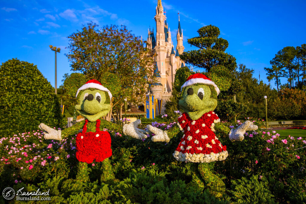 Mickey Mouse and Minnie Mouse Christmas topiaries in the Magic Kingdom at Walt Disney World