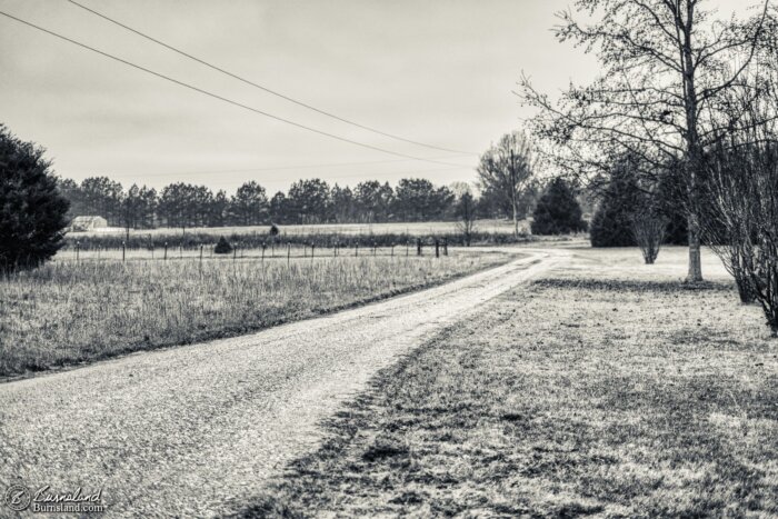 A monochrome look down our driveway on a winter morning