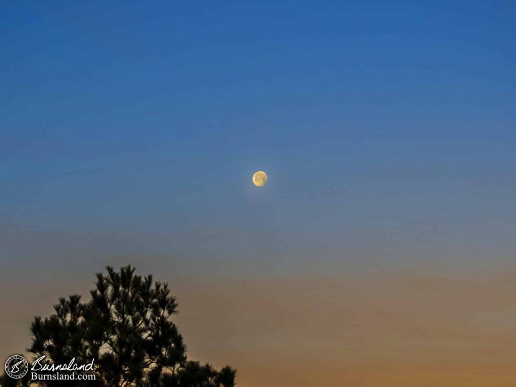 Moonset in the Morning