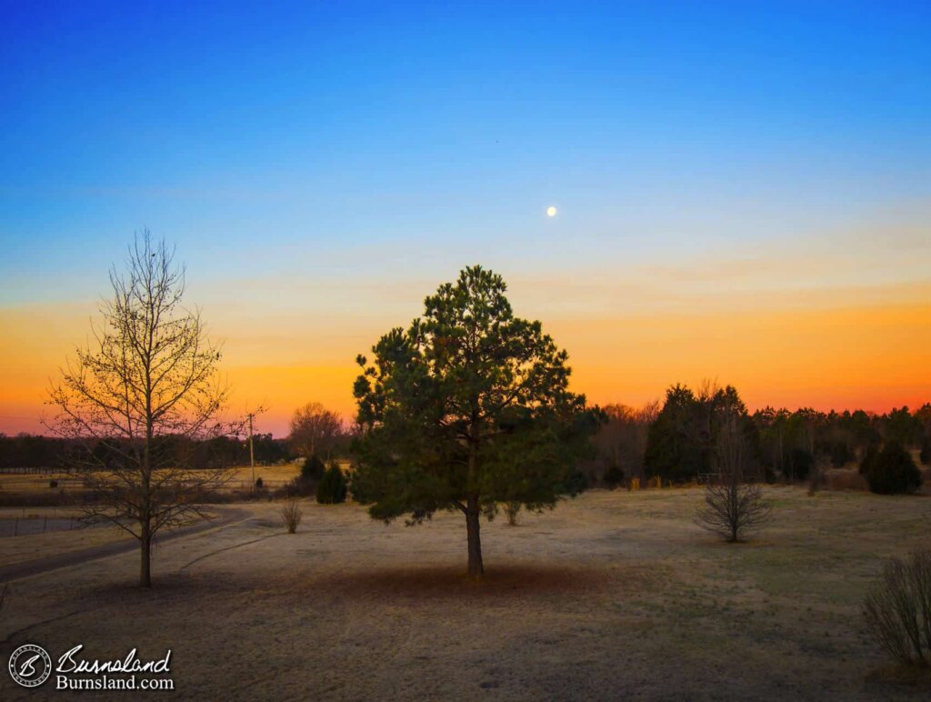 Moonset in the Morning