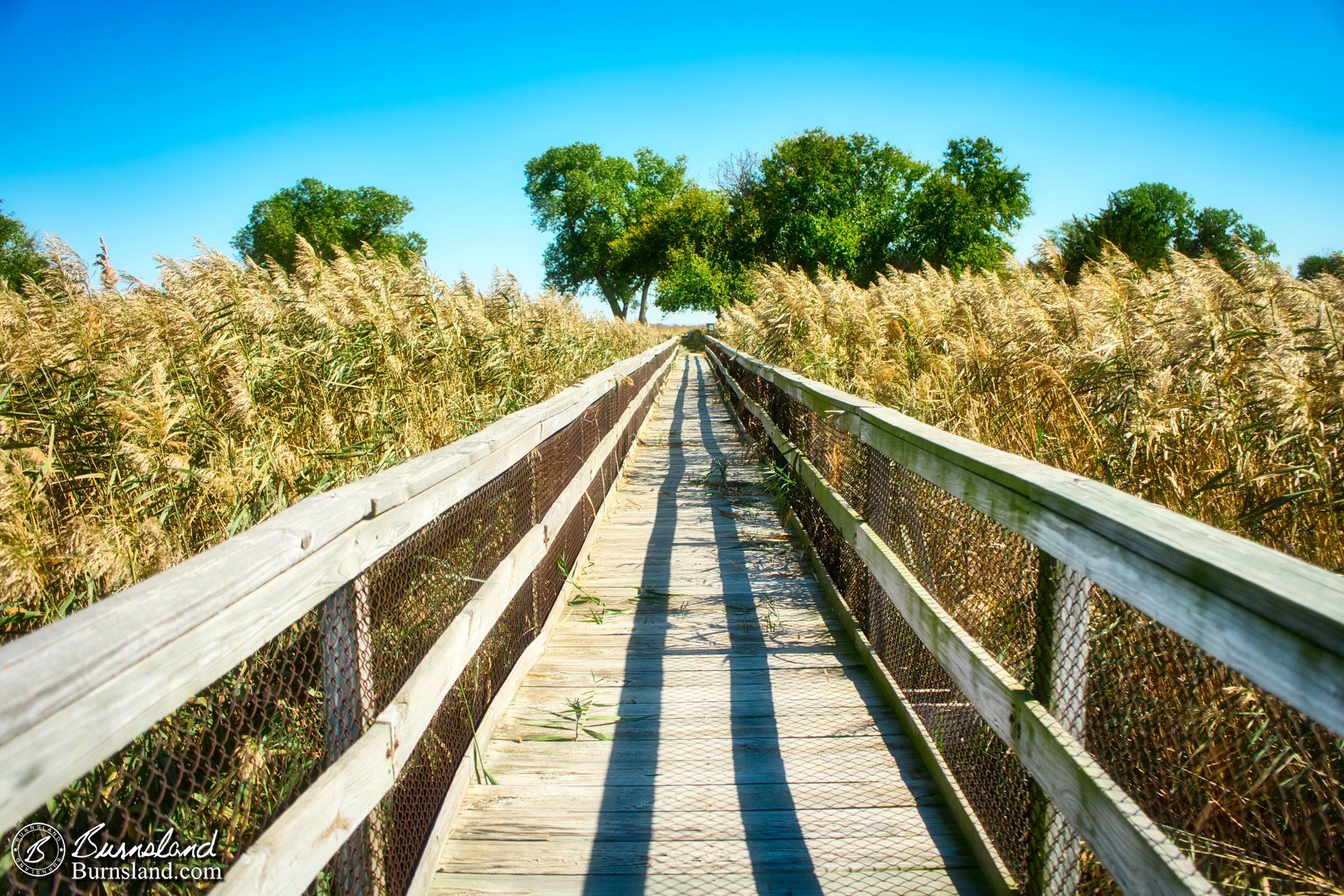 More from Quivira National Wildlife Refuge