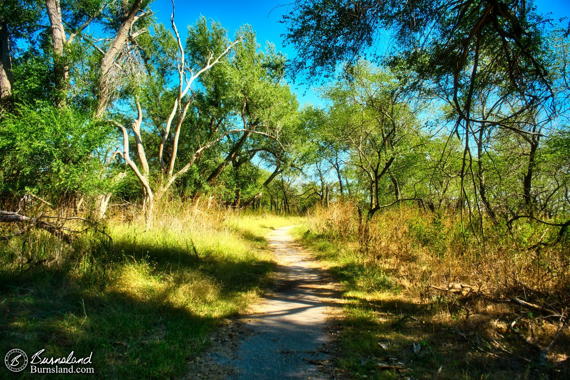 Quivira National Wildlife Refuge in Kansas