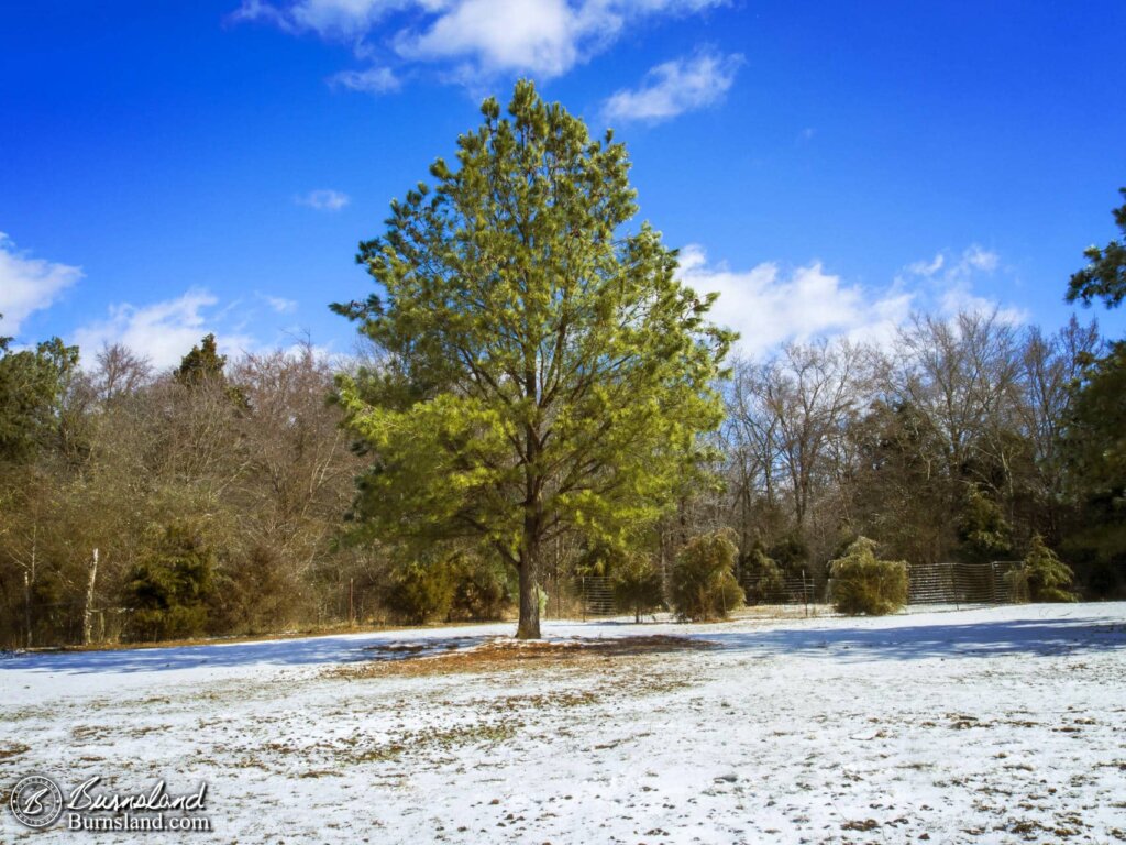 More Winter Views