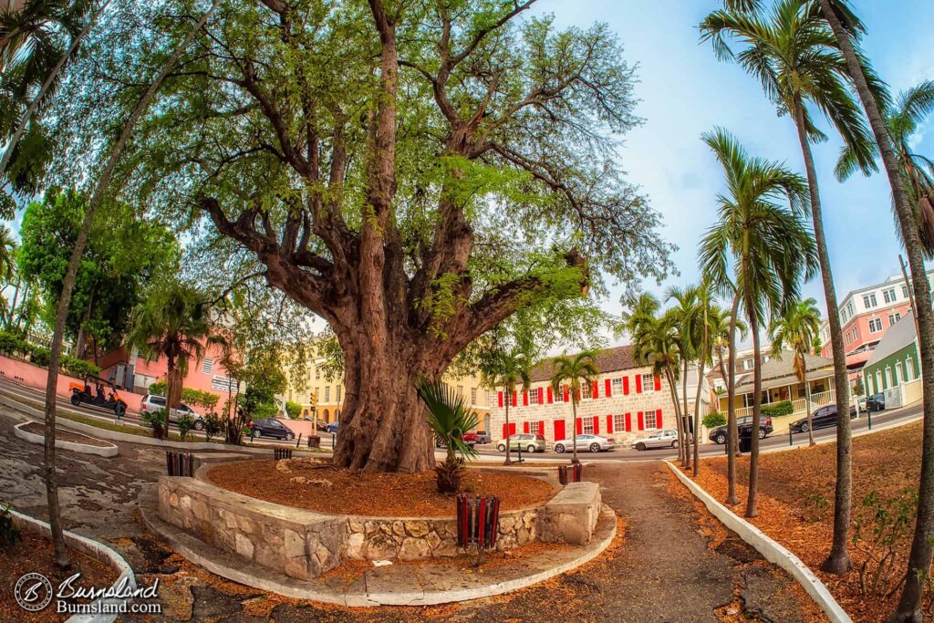 Nassau Public Library in the Bahamas