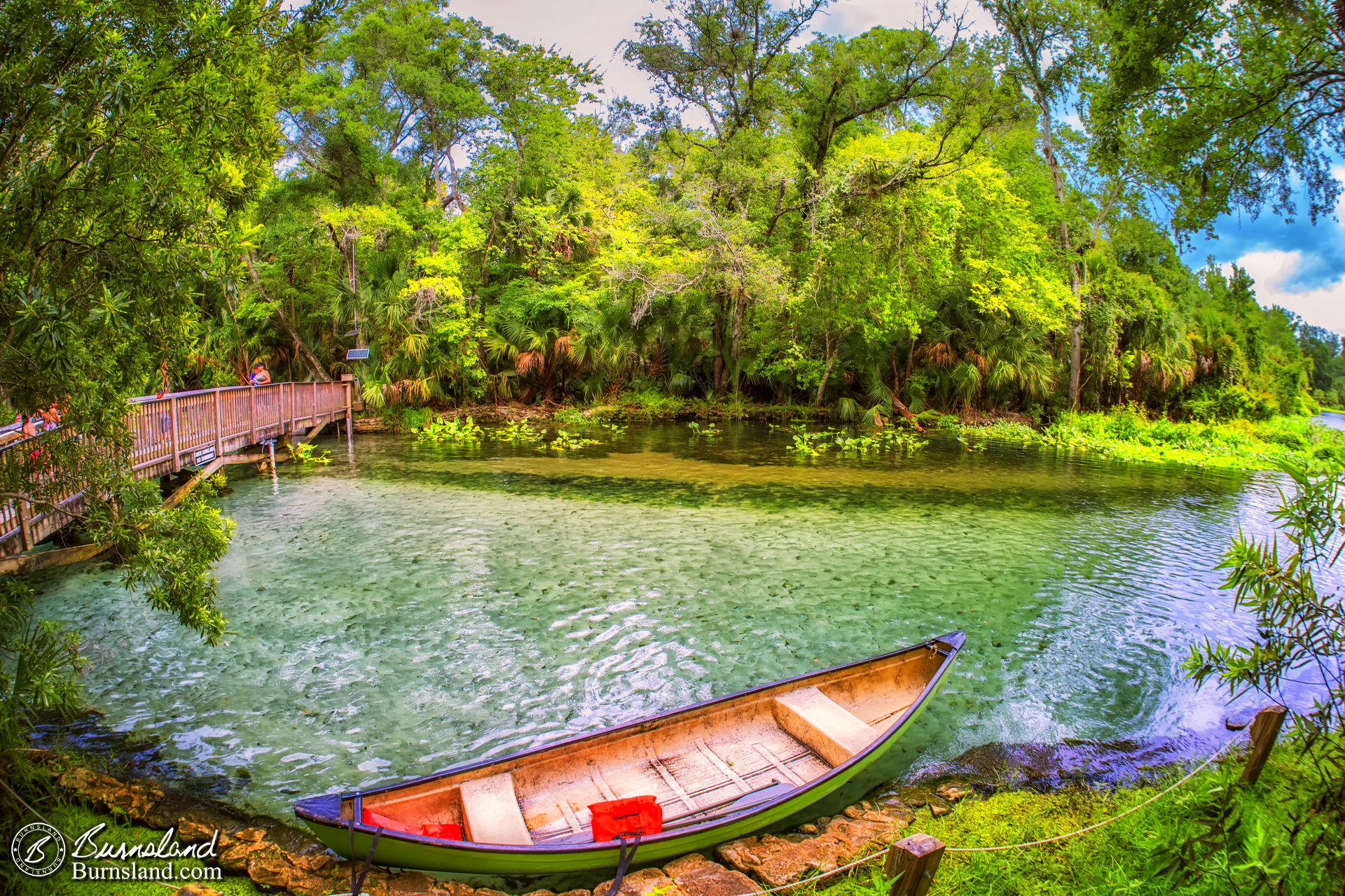 A Natural View from Wekiwa Springs in Florida