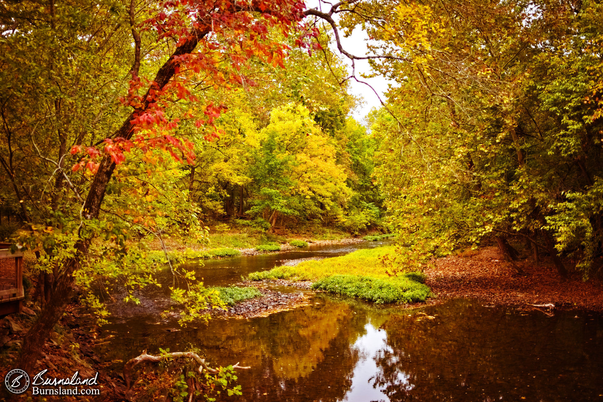 Nature trail at Fantastic Caverns in Missouri