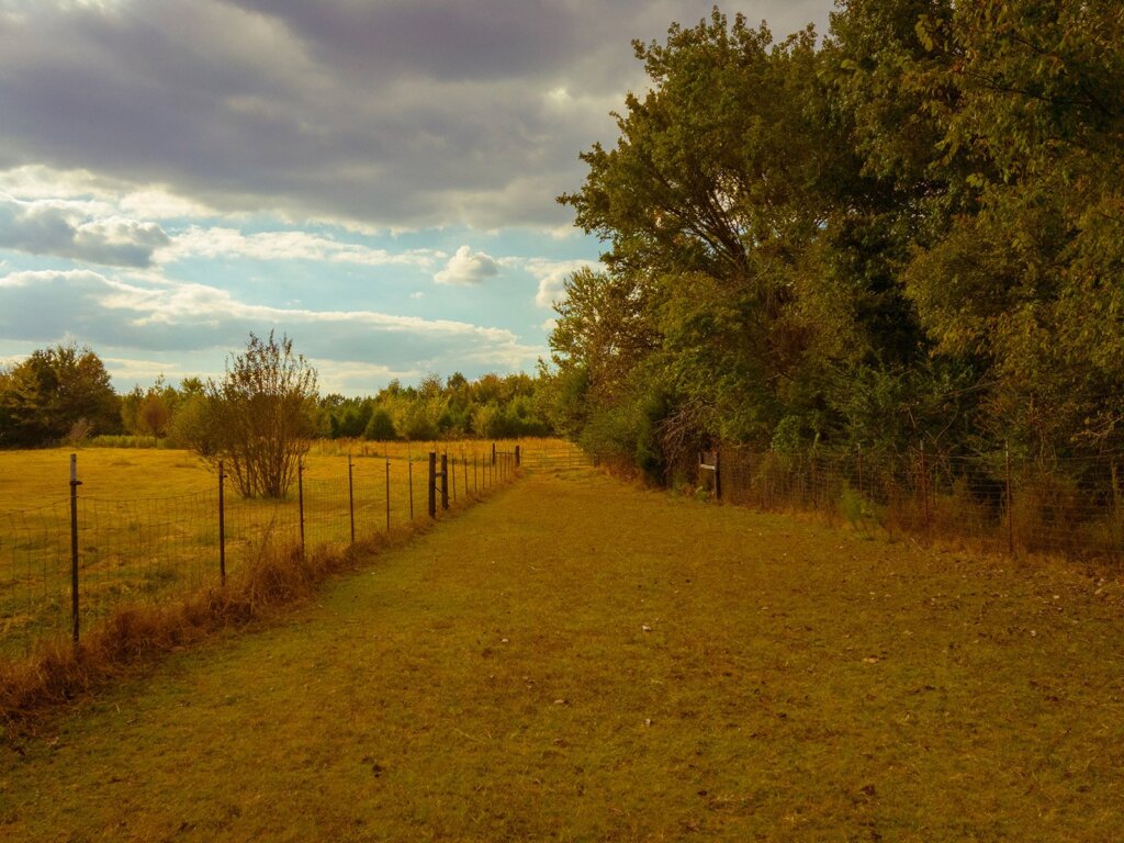 fall-in-the-horse-pasture-1600