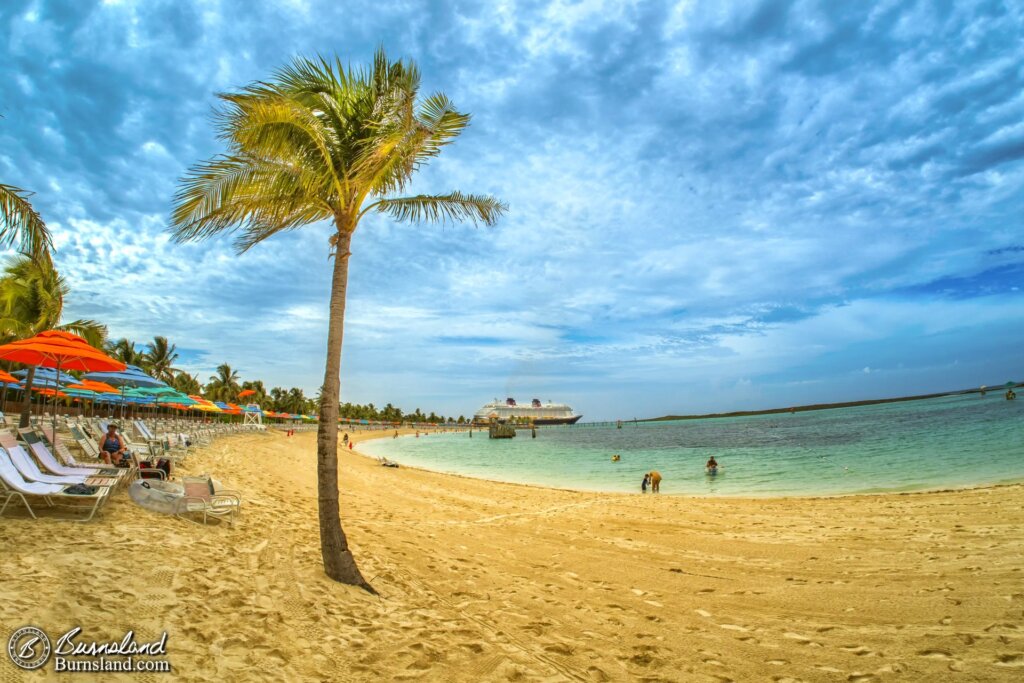 Palm Tree on Disney Cruise Line’s Castaway Cay