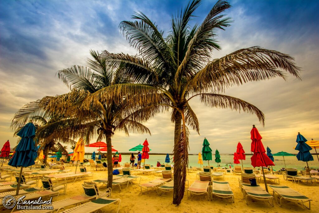 palm trees on castaway cay