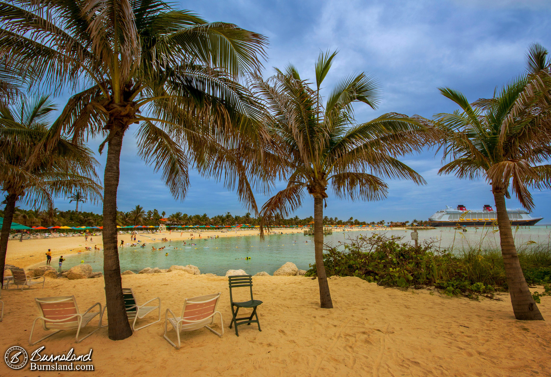 Palm Trees on the Beach