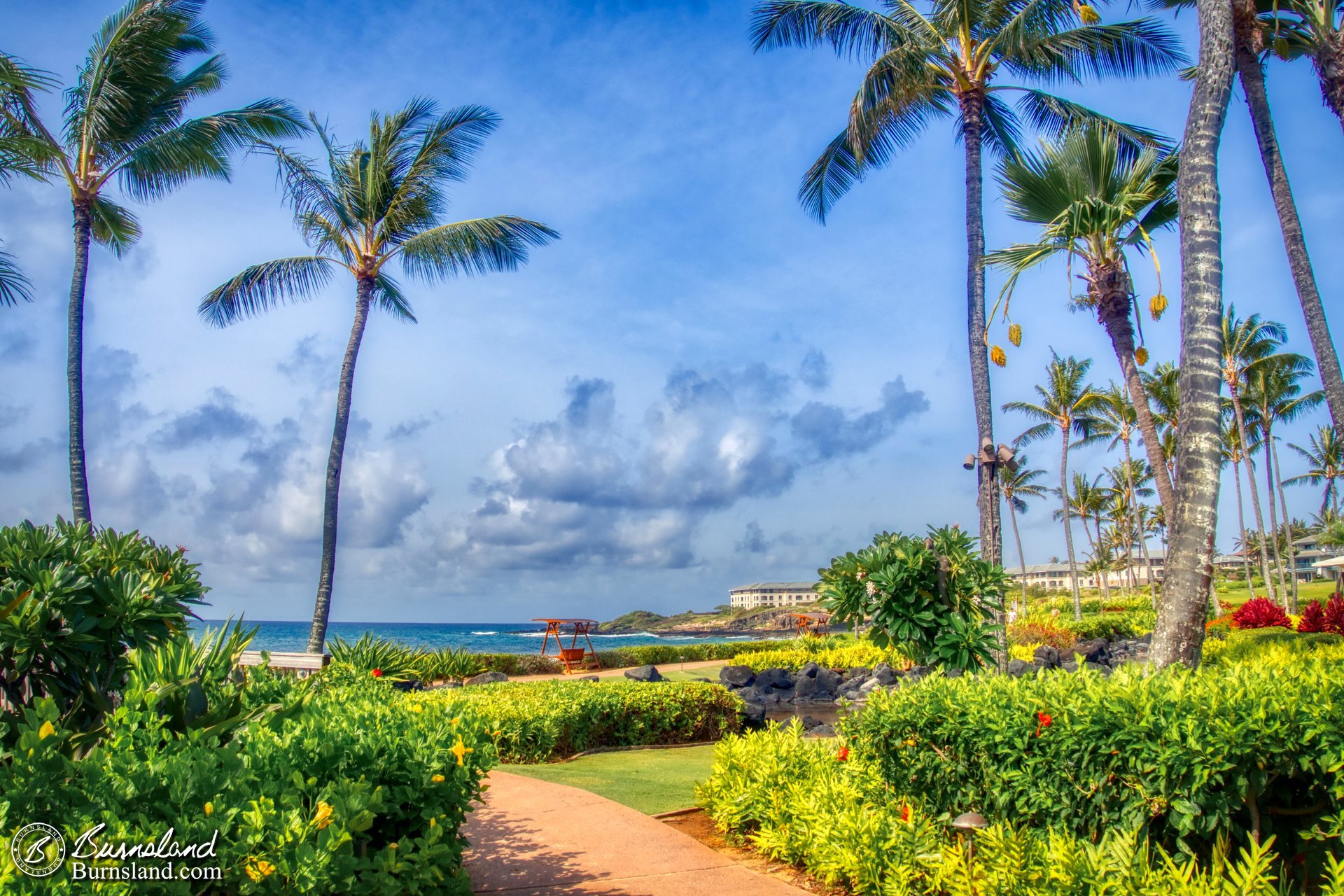 A Paradise Path in Hawaiʻi / Beauty Everywhere