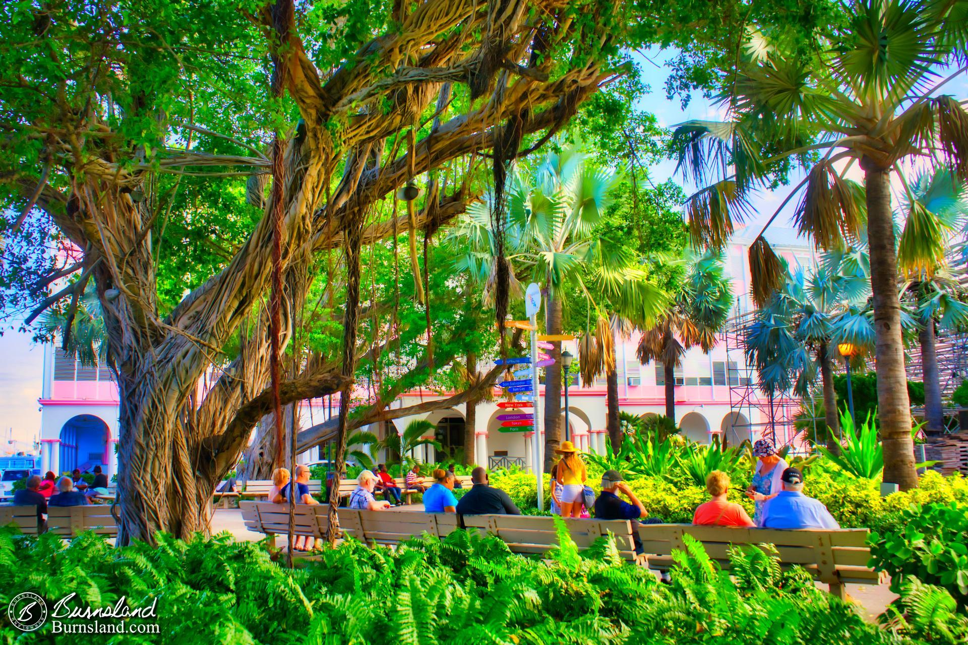 A park in Nassau, Bahamas