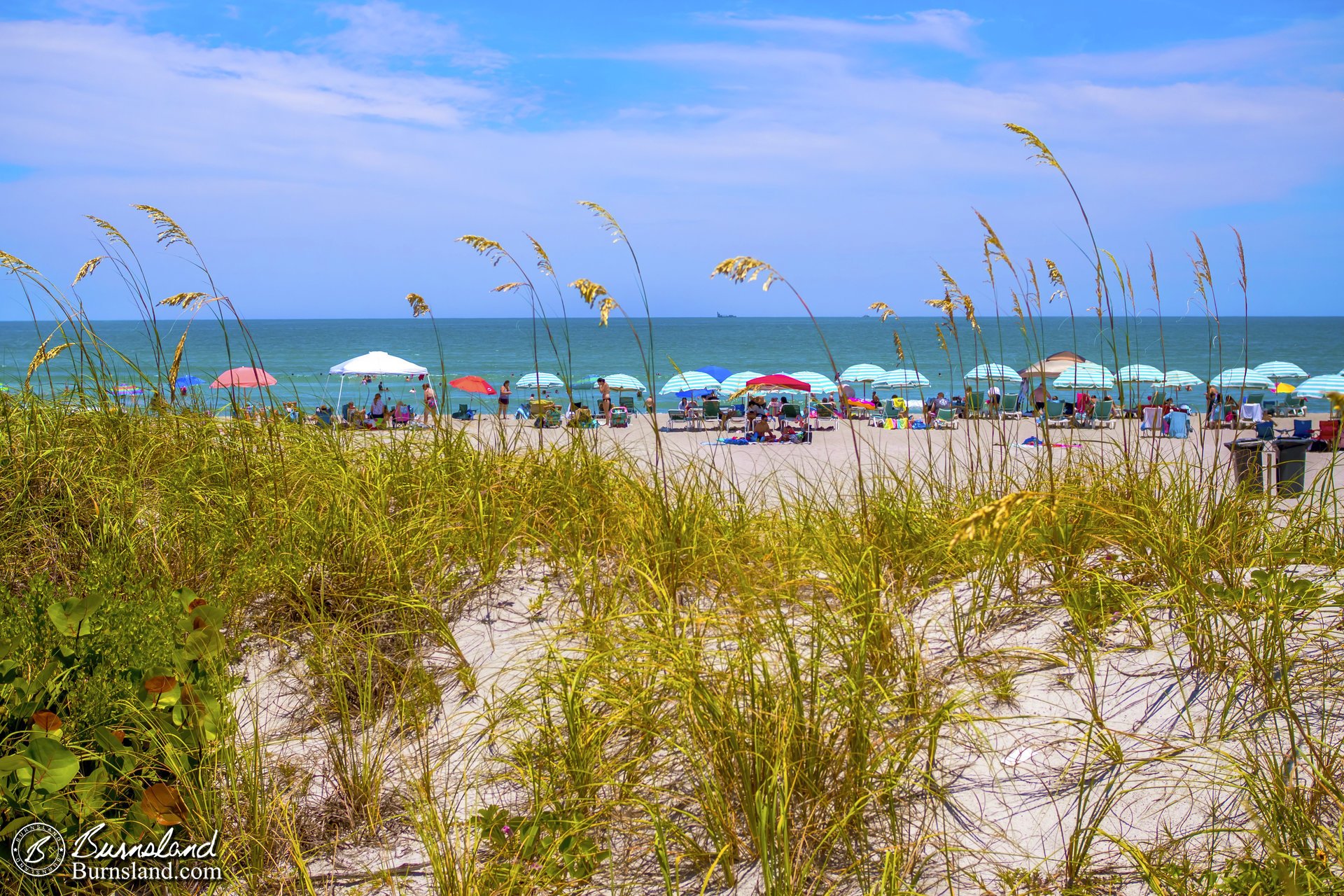 Path through the Grass at Cocoa Beach, Florida