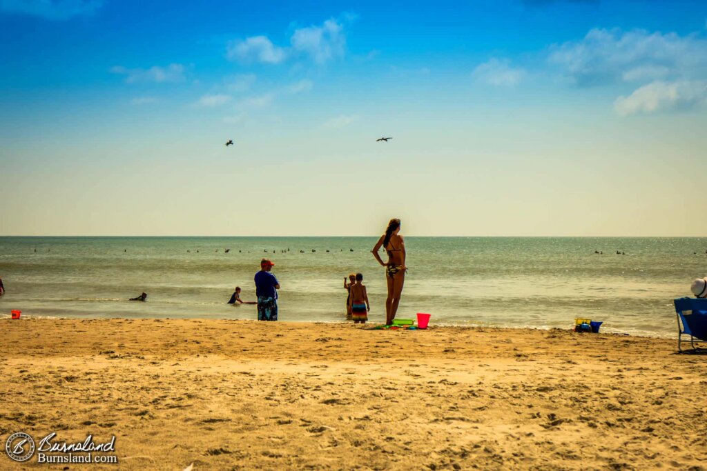 Pelicans at the Beach at Cocoa Beach, Florida