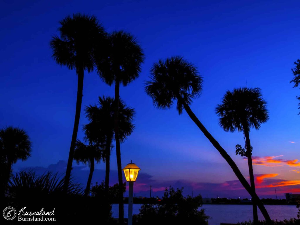 Palm Trees at Blue Hour in Cocoa Beach, Florida