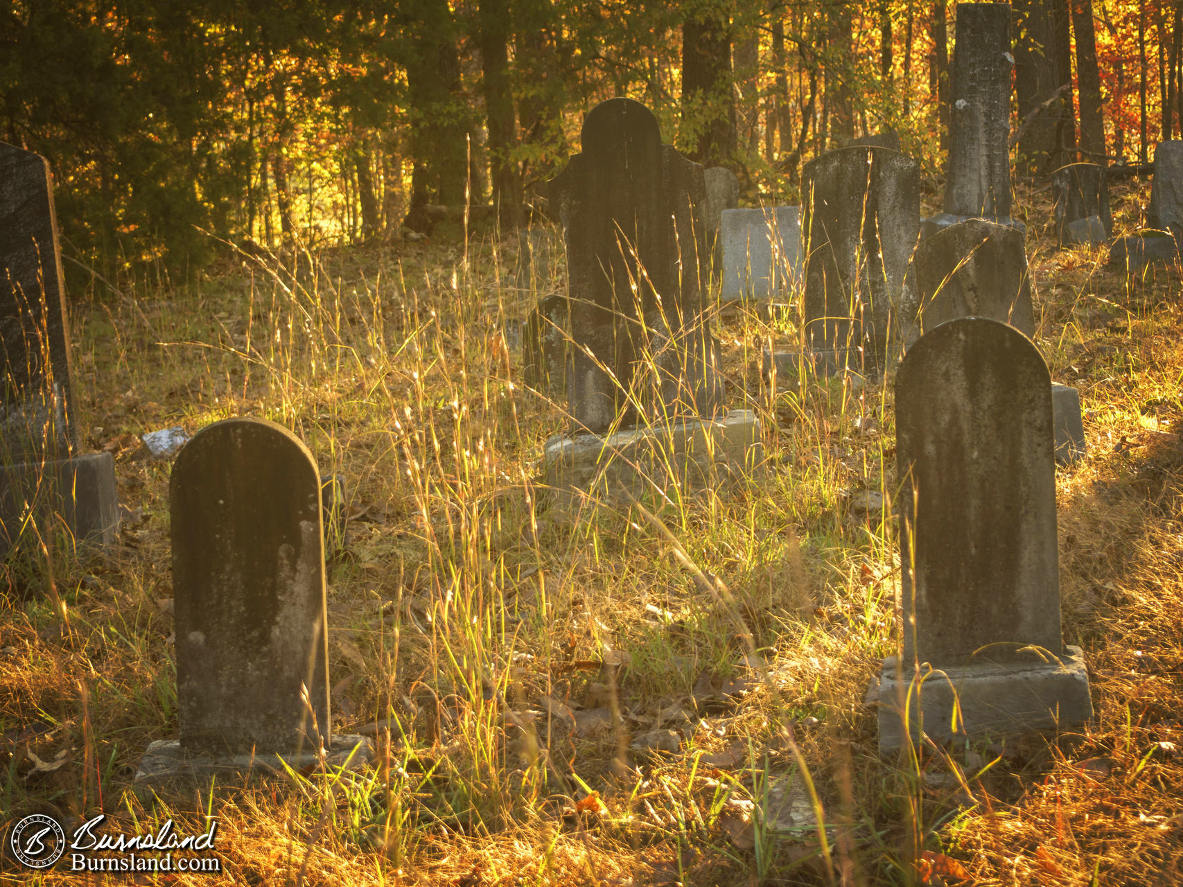 Sunrise at the Cemetery