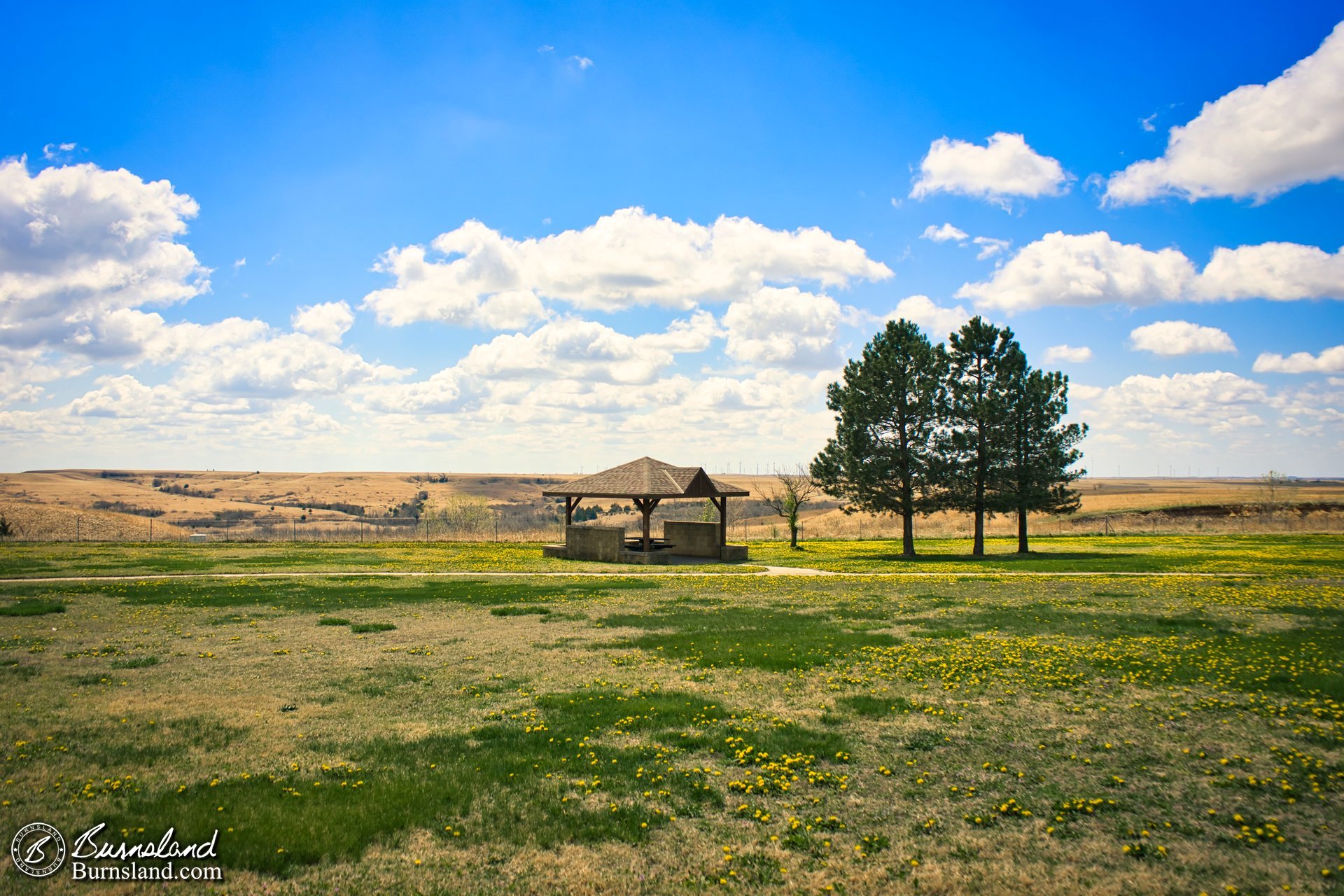 Scenic Views on the Kansas Plains