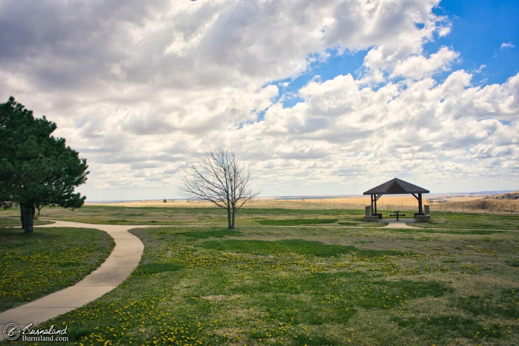 Another picnic view