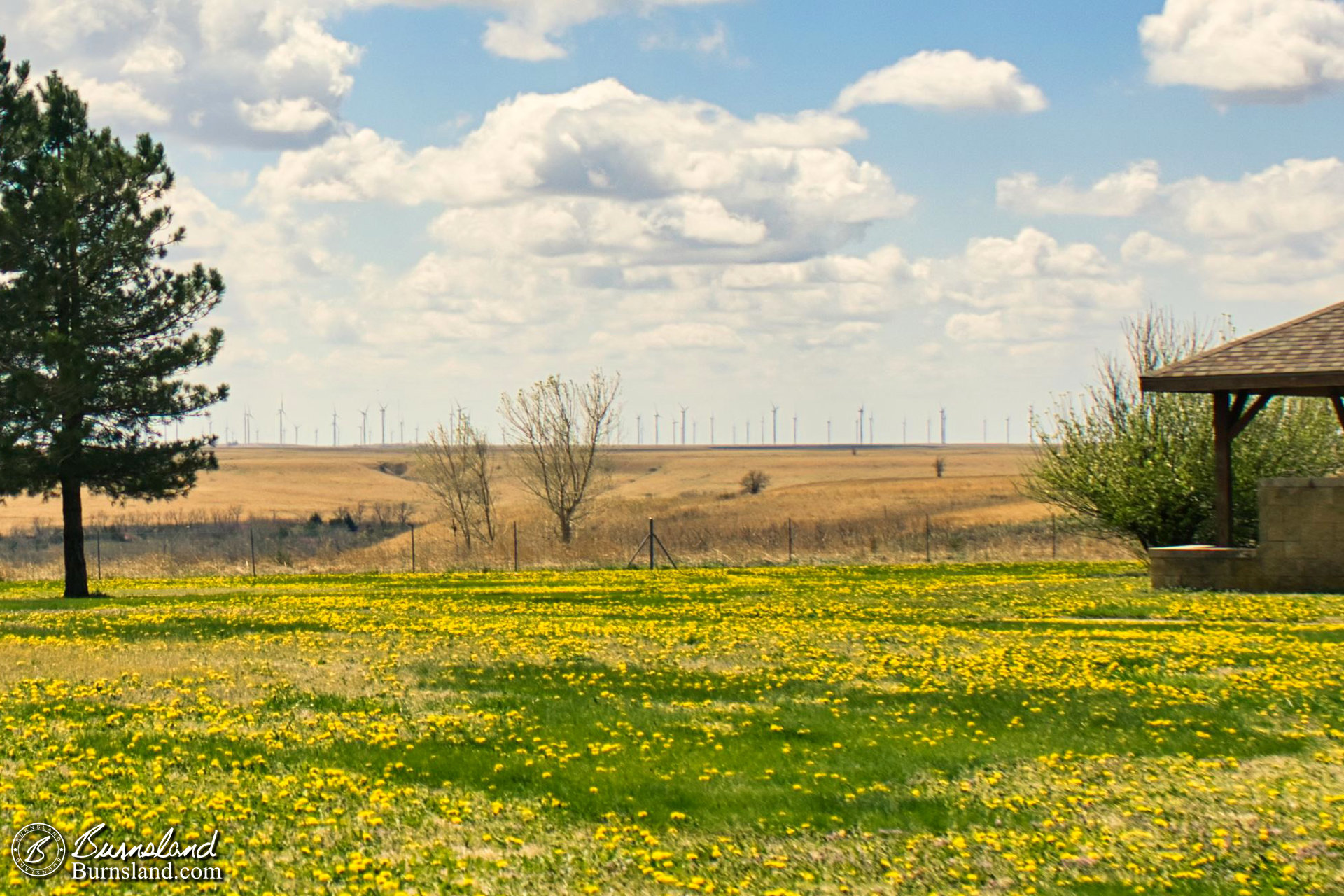 Windmills on the horizon