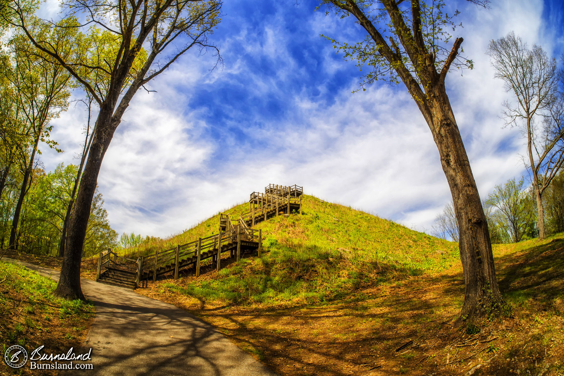 Pinson Mounds State Park in Tennessee