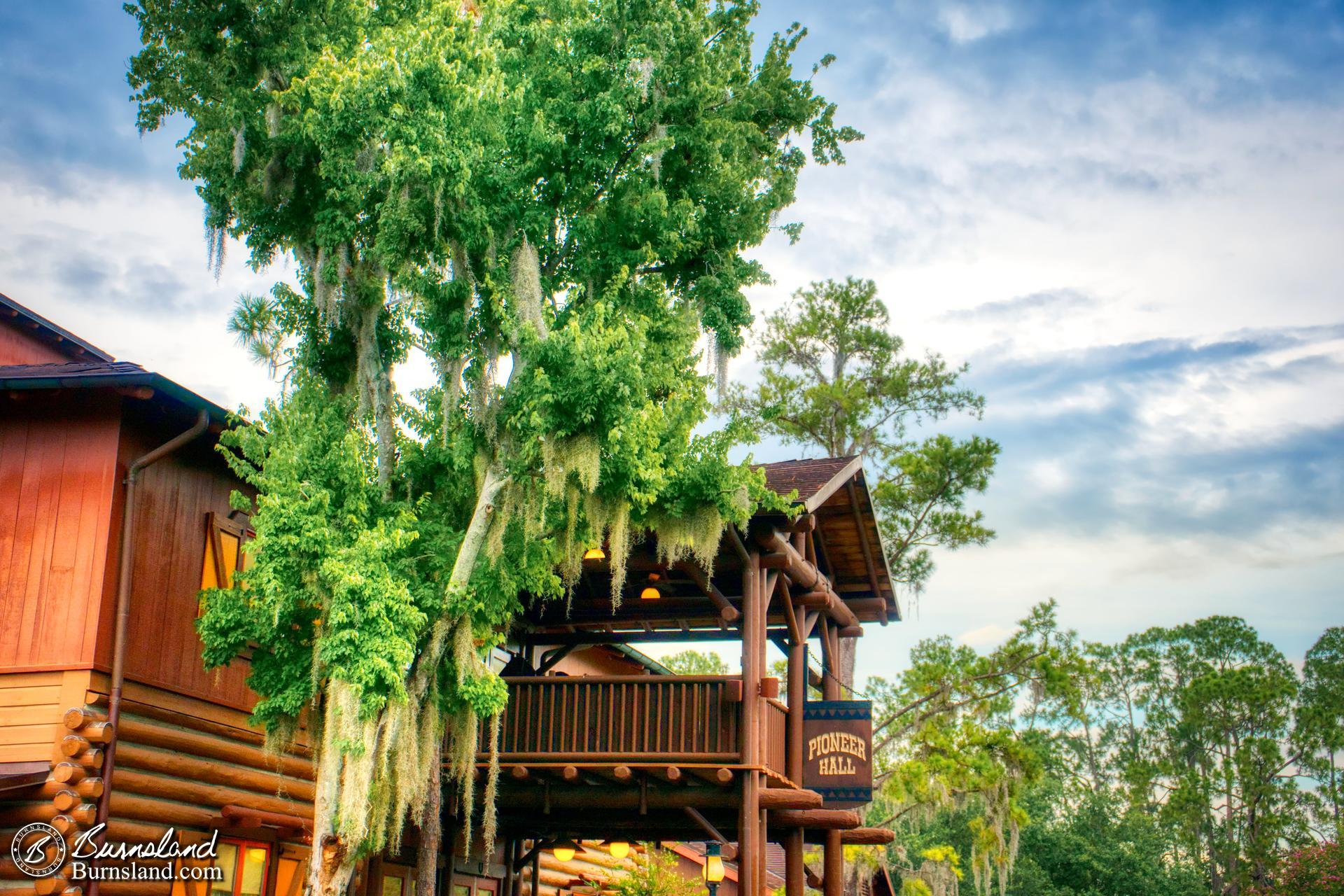 Pioneer Hall in Fort Wilderness / A Different Perspective