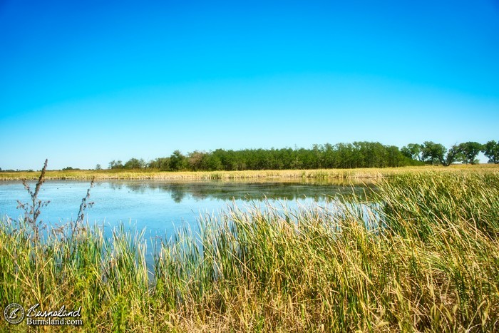 A salt marsh at Quivira National Wildlife Refuge in Kansas